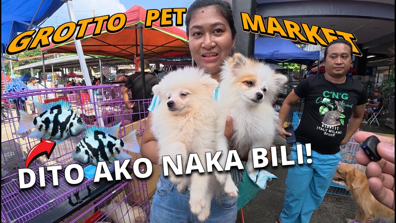SULIT NAKABILI AKO DITO! DITO KO PALA MAHAHANAP! Grotto Pet Market