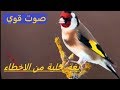 حسون جزائري يبدع بصوت قوي ناااااااااااااار