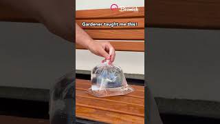 Plastic bag plant watering trick 🌱#plastic #plants #tricks