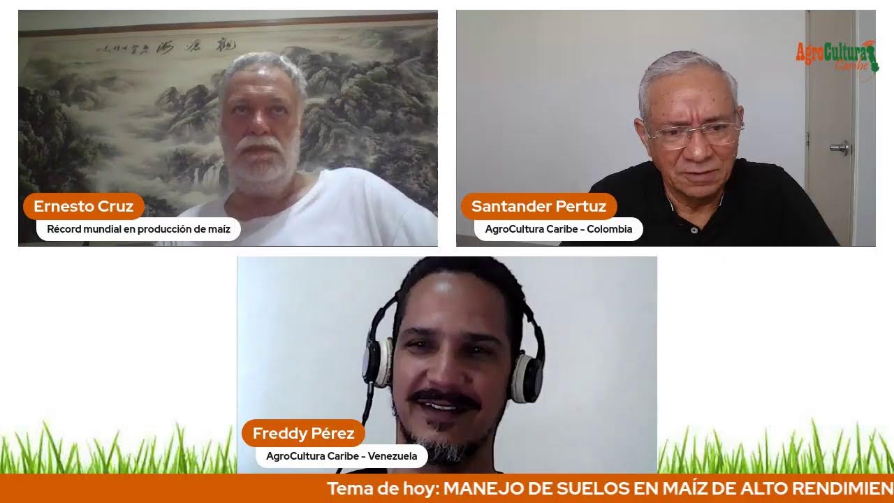 MANEJO DE SUELOS EN MAIZ DE ALTO RENDIMIENTO