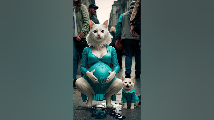 Pregnant 🤰 cat 😍 l #shorts #cats #kitty #catlover #catvideos #catvideo #kitten #cute #cutecat #viral