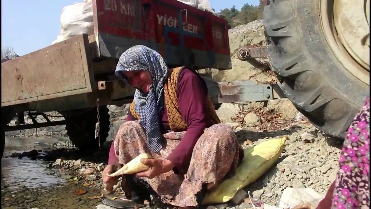 DOĞADAN YANSIYANLAR 1-PEKMEZ YAPIMI