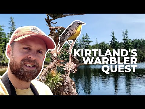 Fun Things to Do in Kirtland | Travel Guide (2024) | Best Places to Visit