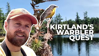 Can We Find the Kirtland's Warbler in Michigan?
