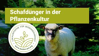 Schafdünger In Der Pflanzenkultur- Bodenart Die Initiative Für Bodengesundheit
