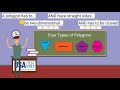 Understanding Polygons