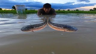 Fishing Video After Rain In The Evening Have Smart Men Walk Catch Many Fish By Hand