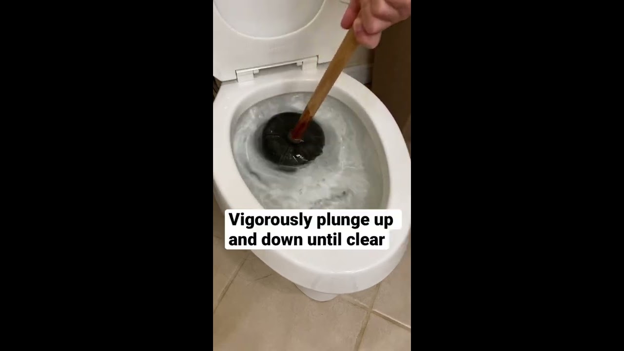How To Unclog A Toilet Basic Life Skills