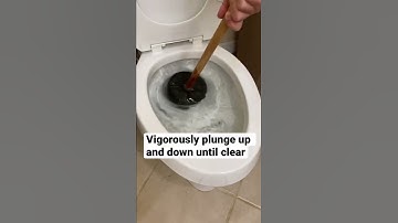 How to Unclog a Toilet | Basic Life Skills