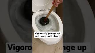 How to Unclog a Toilet | Basic Life Skills