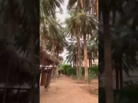 محمد المقحم يقول اشكي شي ولا اعرف ويش حاصل لي