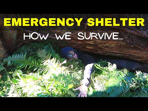 Survival Shelter Build | Emergency Den Shelter