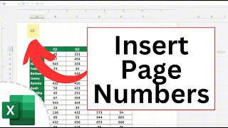 How to Insert Page Numbers in Excel (in the Header or Footer) Net Worth