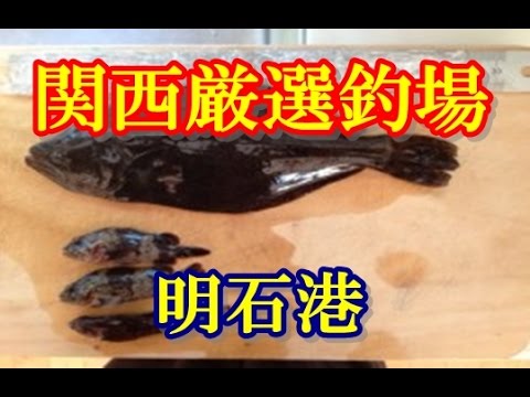 釣り場情報 関西の海釣り 明石港 アジ アオリイカ 投げ釣りでカレイ キスがおすすめ Youtube