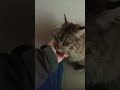 Chatcâlin