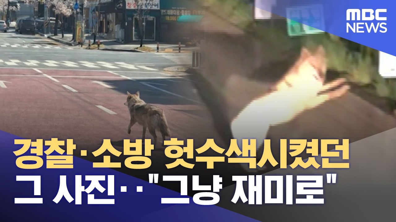 경찰·소방 헛수색시켰던 그 사진‥