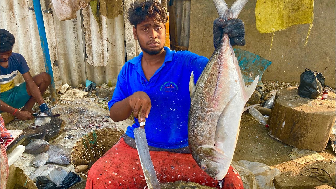 5kg TREVALLY FISH AMAZING FISH CUTTINGKasimedu Fish Cutters SkillKF