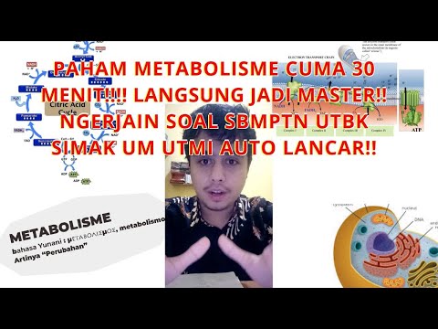 Video: Perbedaan Antara Glikolisis Dan Siklus TCA