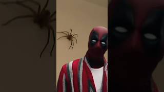 Wieder Mal Lebensretter Freundin Vor Panik, Spinne Vor Flip-Flop. Beide Dankbar Unterschiedlich.