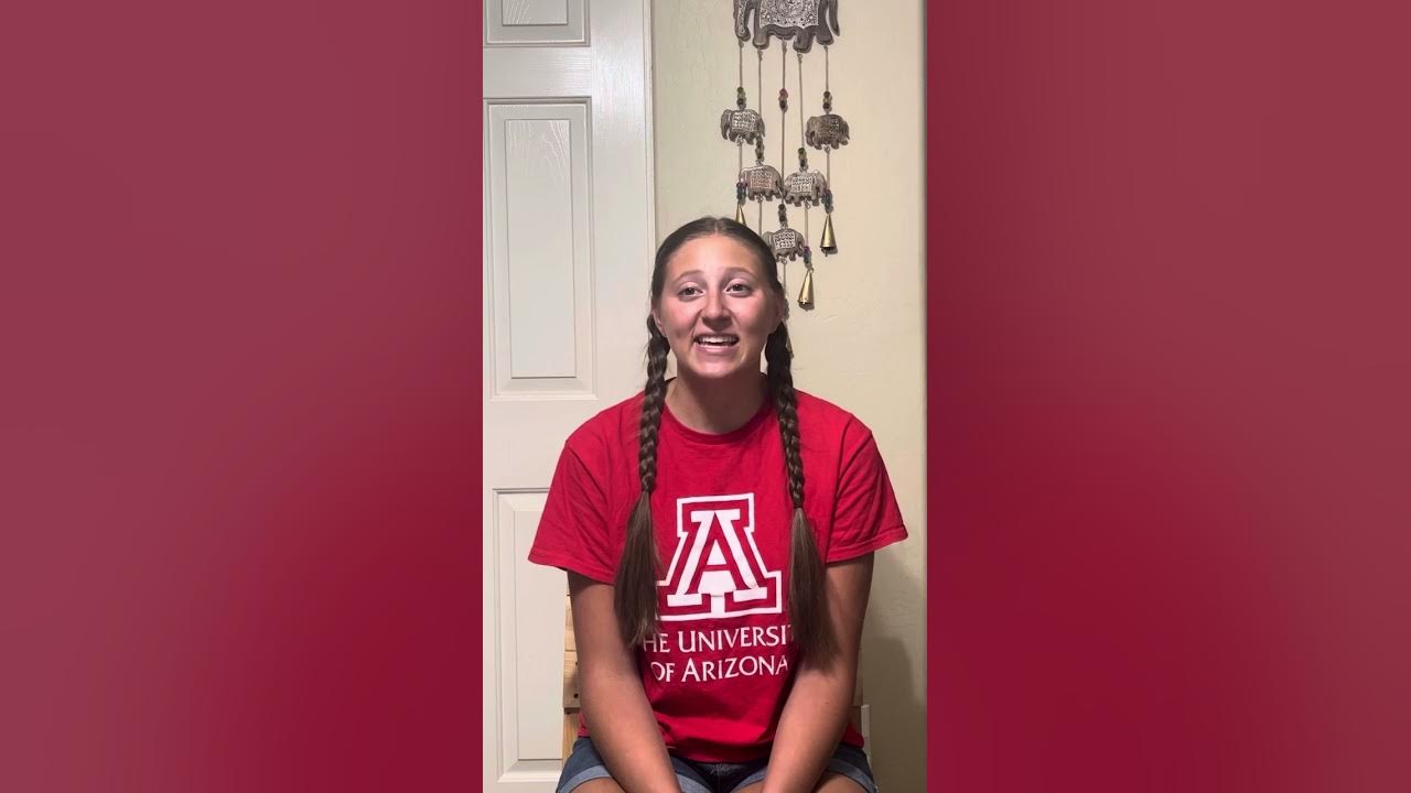 SEI models in Arizona YouTube