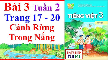 Tiếng Việt Lớp 3 Bài 3 Tuần 2 | Cánh Rừng Trong Nắng | Trang 17 - 20 | Kết Nối Tri Thức