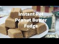 Instant Pot Peanut Butter Fudge