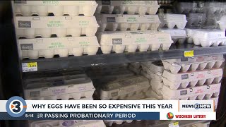 The price of eggs has gone up, and there's multiple reasons shoppers could be left scrambled Net Worth