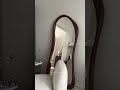 Mirror Land Store introduces a new style of luxury standing mirrors!
