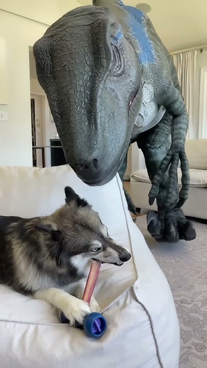 Dog+won%E2%80%99t+share+bone+with+Dinosaur%21+%24 #shortsviral - YouTube