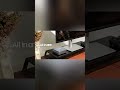 ACEMAGIC M5 Mini PC Intel Core i5-14500HX (14C/20T, up to 4.9GHz) 16GB