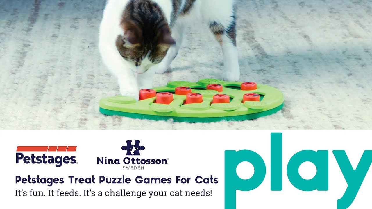 Nina Ottosson by Petstages Rainy Day Puzzle & Play Cat Puzzle Game