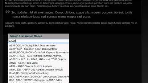 Demo SAP NetWeaver Gateway service feeding website