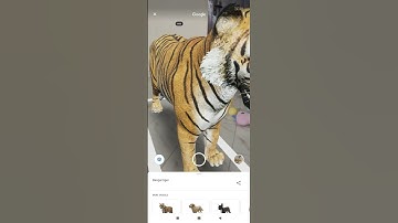 View 3D animals in your Room ||Google augmented reality|| teatalk