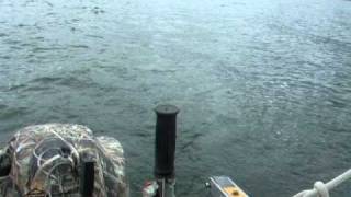 Sailing Neptune 16