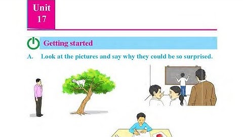 class 6 english subject unit 17 /reading i/grammar i/writing i/spiking I all exercises solved
