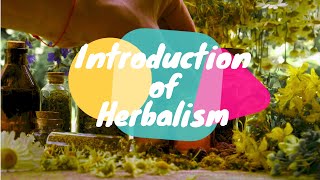 [CC]🌿 Introduction of Herbalism – Back to the basics