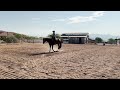 Jami Rodriguez & Lazy Butt Perfect, August Summer 2024, Class 19: Western Horsemanship W/J All Ages