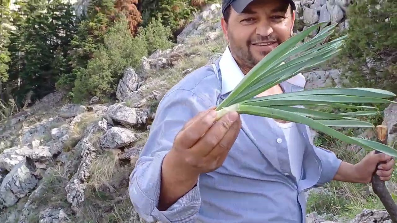Tomarza Berçin Yaylası gerçekten çok güzel