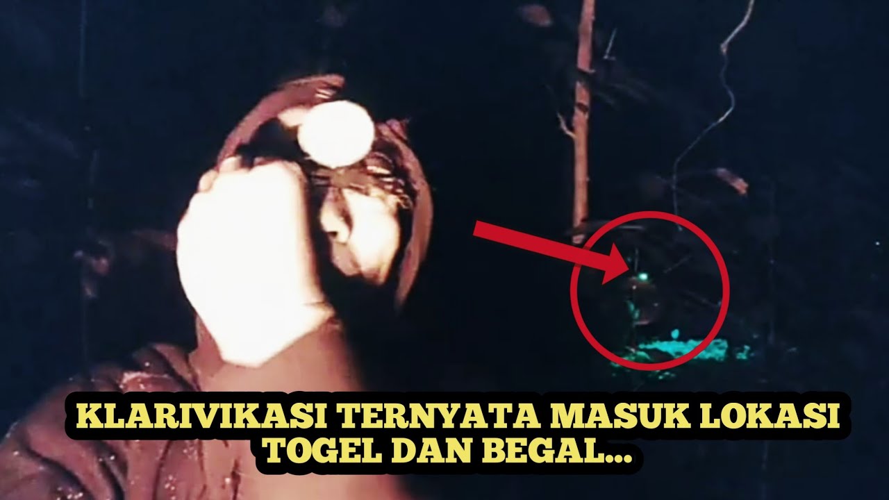 Klarivikasi TERNYATA MALAH MASUK LOKASI POHON TOGEL DAN BEGAL...