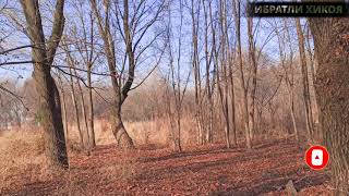 Бу видеони йолгиз ер хотин курсин мазза килиш бунака