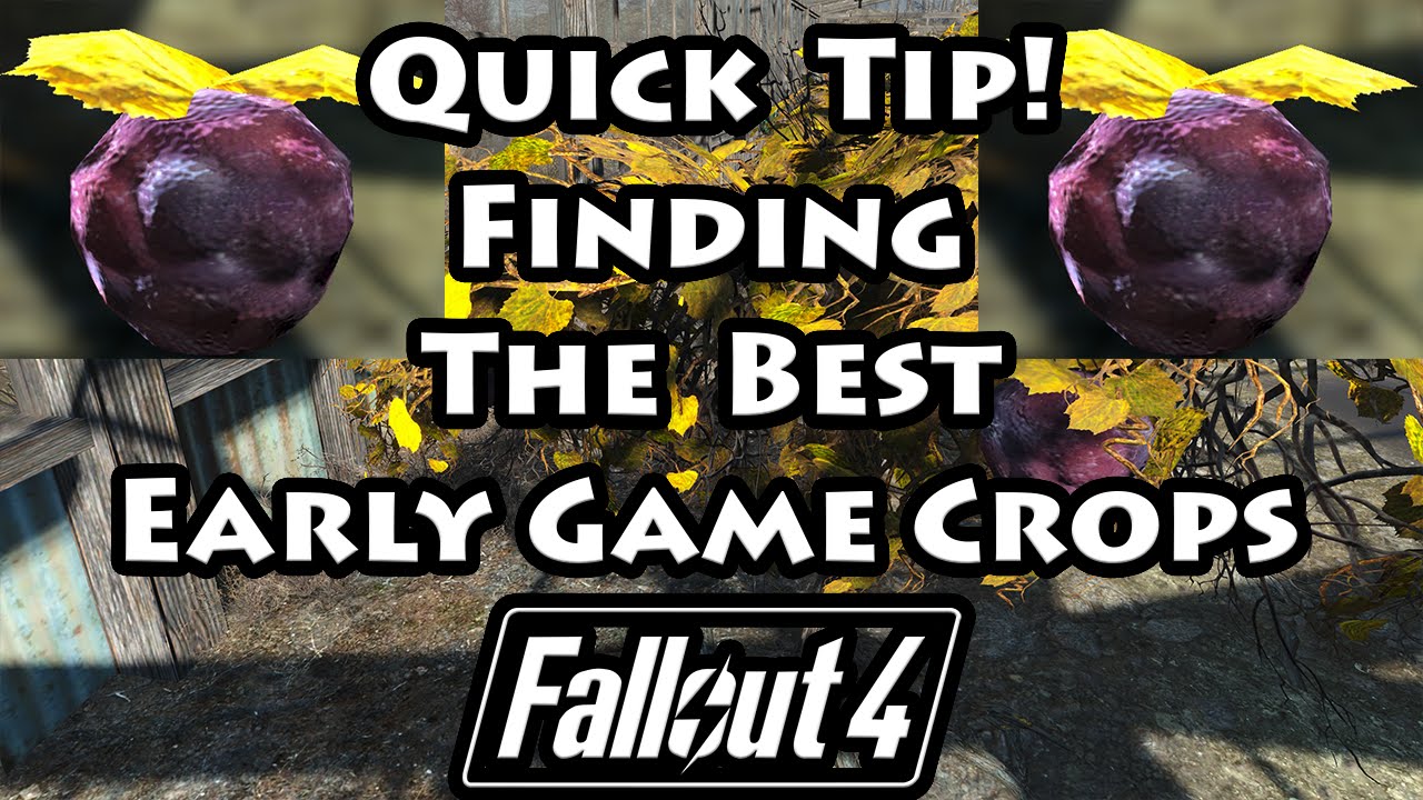 Fallout 4 Find the Best Early Game Crops 4K Ultra HD YouTube