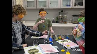 lab: colorful investigation 7b