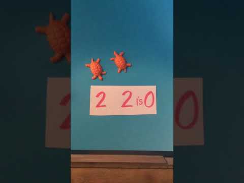 Subtraction-Using The Minus Sign