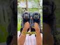 Labrador puppies in kerala #shorts #trending