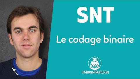 Le codage binaire - SNT - Seconde - Les Bons Profs