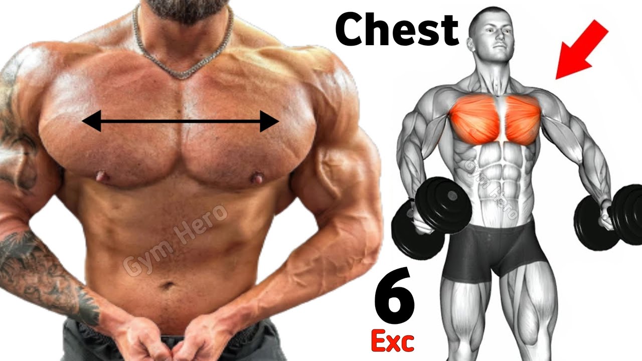 6 Exercises For Big Chest Workout At Gym YouTube