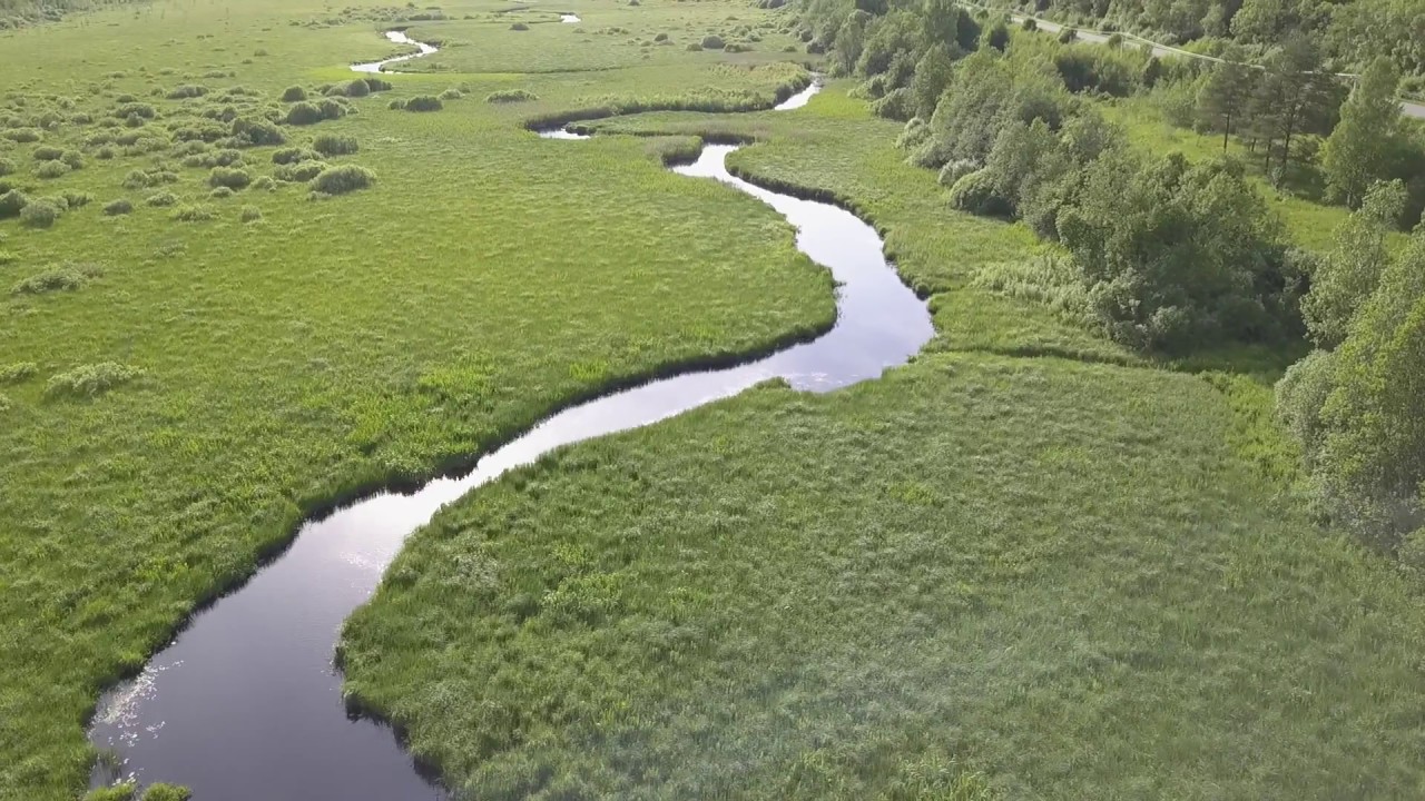 File:Wityłów, lávka, San.jpg - Wikimedia Commons