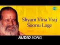 Shyam vina vraj soonu lage  gujarati krishna bhajans geets dhun  narayan swami