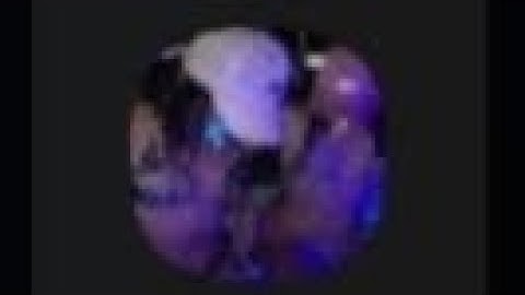 SAIU!! O MELHOR APK 4 DEDOS COM SUPORTE ANDROID 12!! GTA SAMP - SUPORTE A CLEO- MELHOR APK SAMP