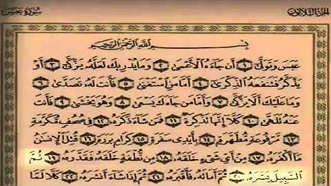 سلمان العتيبي - سورة عبس